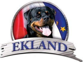 Ekland-LOGO