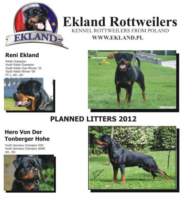 Planned Litters 2012