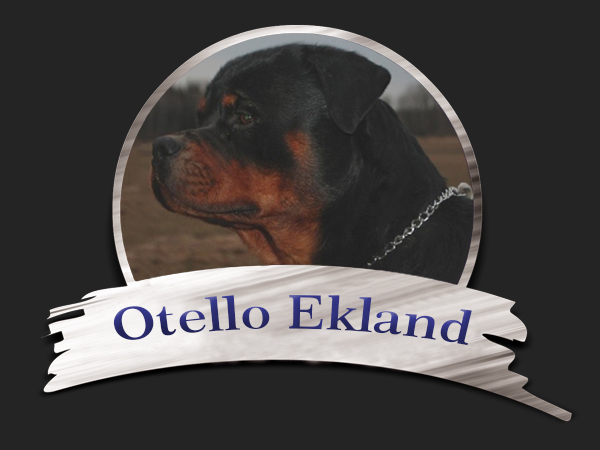 otello head