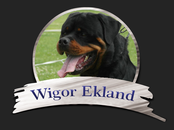 Wigor Ekland